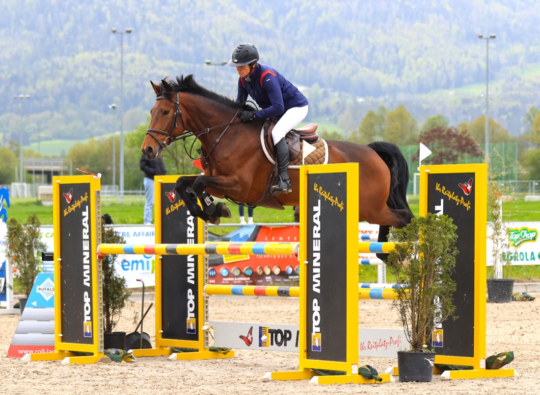 Une cavalière et son cheval au manège