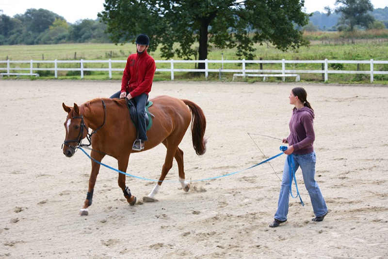 Cours pour débutants au manège
