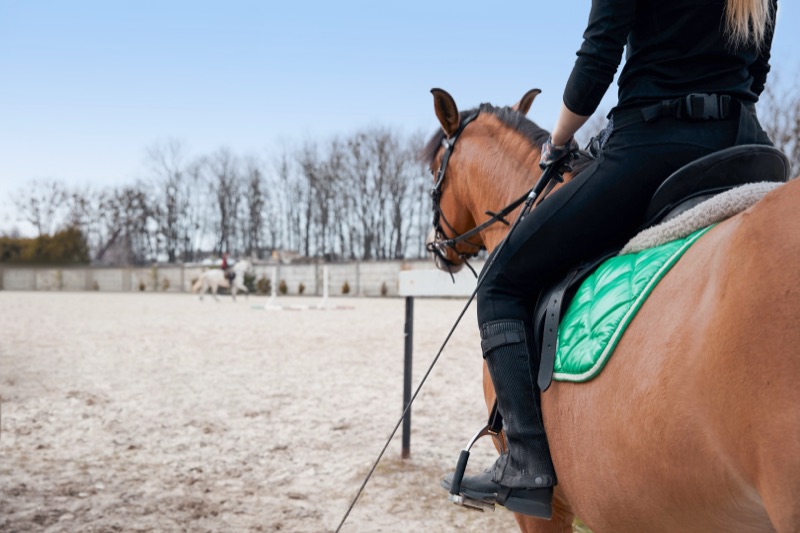 Cours particuliers avec ou sans son cheval