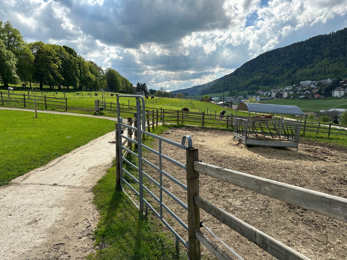 Élèves et chevaux du Manège St-Imier